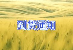 2025年2月24日航班到货通知